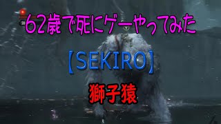 No,72　【ゲーム配信】SEKIRO10 獅子猿