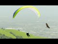 Paragliding Alongside Eagles | Natural World: Super Powered Eagles | BBC Earth