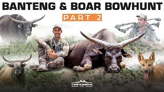 “Bowhunting Banteng Bulls & Boars” In Australia’s Top End - Part 2 - Official Film - TWIN ELEMENTS