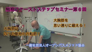 大胸筋について（小川隆之）／オープンパス・メソッド®／ボディワーク