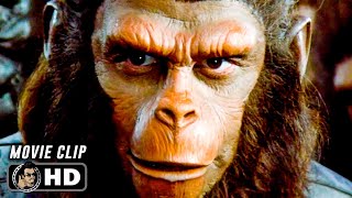 "Ape Has Killed Ape!" BATTLE FOR THE PLANET OF THE APES Final Scene (1973)