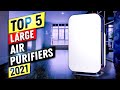 Best Large Air Purifier 2022 | Top 5 Large Air Purifiers