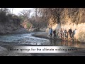 Sunpath Safaris, Mana Pools, Kariba Zimbabwe