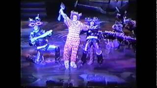 Cats in Vienna (1988) Die alte gumbie katze