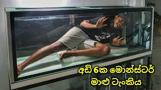 ලොකුම ලොකු මාළු ටැංකිය...! | BIGGEST tank I ever built! (part01)