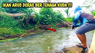 MANCING IKAN ARUS DERAS || TENAGA NYA LUAR BIASA BAGAIKAN KUDA !!!