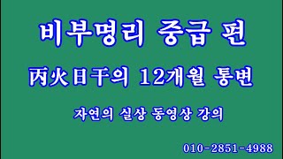 105 비부명리 중급편, 丙火日干의 12개월 통변 4부