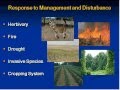 Webinar - Ecological Sites and the MLRA SSO Leader (12/2011)