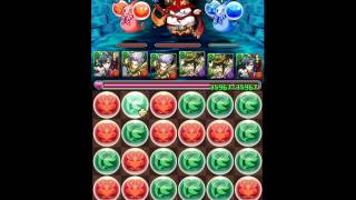 【パズドラ】Puzzle \u0026 Dragons 伝説の航路 幻の雙子龍 ~ 現在の時女神・ヴェルダンディ ~ PTノーコン