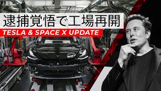 【ニュース】逮捕覚悟でイーロンマスクが工場再開＆スペースX初の有人飛行