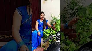 short# video #कौने मासे तुलसी जन्म भई ले कौने मासे से हरिहर भई लेना