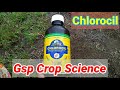 chlorpyrifos 20% ec uses in hindi