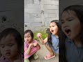 Lihat yang jelas #shorts #feed #shortvideo #lucu #funny #ngakak #anaklucu