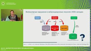 Нейроэндокринные опухоли желудка: классификация и клинико-морфологические типы