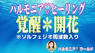 「凄いヒーリングシリーズ２」〜覚醒！ティンシャとソルフェジオ周波数で導く覚醒への道。開く、開花、潜在能力の覚醒。#90