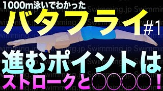 水泳 バタフライの泳ぎ方 進むポイントはストロークと◯◯◯◯！