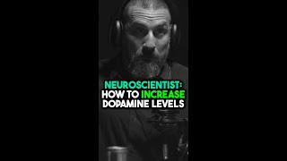 Neuroscientist: How To Increase Dopamine | Andrew Huberman #hubermanlab #shorts