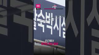 양양 낙산해변 편의점 '와르르'...붕괴 순간 CCTV 포착 #shorts