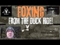 MFL Outdoors - Fox Control || Night Shooting using Infiray Thermal || Foxpro Caller || Sako .243