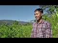 विदेशमा भन्दा धेरै कमाई नेपालमा खोर्सानी बाट dalle khursani kheti agriculture interview in nepal