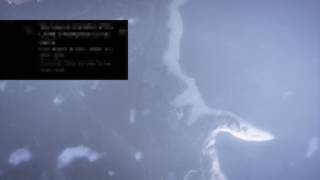 GTA 5 Cloud Simulator 5000 Stream Highlight