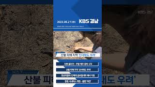 2023년 06월 21일 (수) 7뉴스 [픽뉴스] KBS뉴스 경남 #shorts