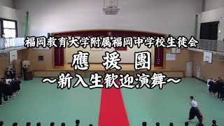 【猛進】福教大附福岡中　新入生歓迎演舞【まっしぐら】