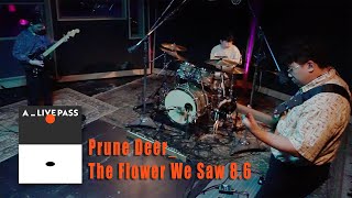 話梅鹿 Prune Deer - 花的名字 8.6 The Flower We Saw 8.6 (Live Session)｜A_LIVE PASS