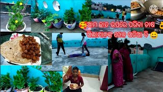 vlog117 #ପିଲାମାନଙ୍କ  evening enjoy 😀 ଆଜି କା dinner ପୁଅ ର ମନ ପସନ୍ଦ# 😋ଛାତ ଉପରେ ପରିବା ଚାଷ ଆଉ ଖେଳ ପଡିଆ #