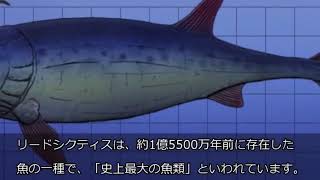 史上最も獰猛で巨大な動物と言われたアンドリューサルクス！絶滅してくれてよかった、、、＃動物