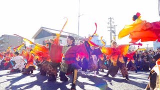 京炎そでふれ！Tacchi　バサカニ2017 公園線南会場