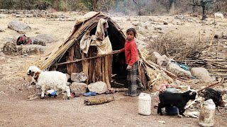 Best Life in A Himalayan Village During The Rainy Day || Shepherd Organic Food || Village Life 1..