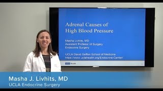 Adrenal Causes of High Blood Pressure | Masha Livhits, MD | UCLAMDChat