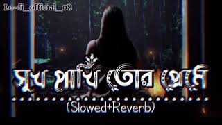Shukh Pakhi Tor Preme সুখ পাখি তোর প্রেমে মন মজাইয়া Slowed+Reverb বাংলা কষ্টের গান Lofi Music