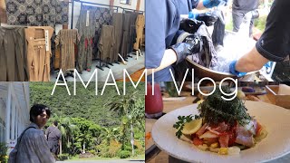 【奄美大島旅行vlog】着物リメイク作家が大島紬の聖地巡礼をして観光やグルメを満喫する３泊4日