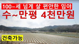 낙찰 강원 횡성군 청일면 춘당리 산19임야66248㎡ 싼임야 계획+생산관리1537평 소나무2898억원 탄소권1683만원 땅과함께(새희망을)경매임야공매임야 나도땅주인