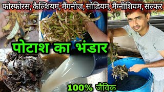 केले के छिलकों से पावरफुल तरल खाद बनाने की विधि | How to make LIQUID MANURE from BANANA PEELS