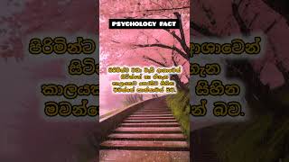 විවාහයෙන් පසු පළමු රාත්‍රිය..🤭❤#shortsfeed#sinhala #viral#ytshorts#reels#psychologyfacts#love_status