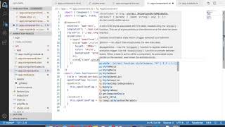 Angular 8 Animation Intro