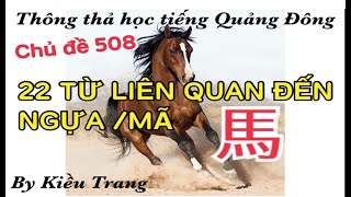 Thông thả học tiếng Quảng Đông 508: 22 từ vựng liên quan quan đến Mã/ con ngựa ￼馬..