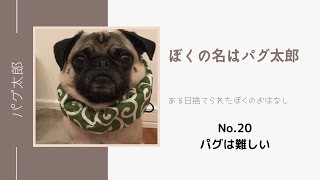 No.20ぼくの名はパグ太郎。ある日捨てられたぼくのおはなし。