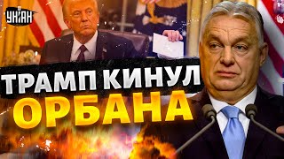 Трамп ЖЕСТКО КИНУЛ Орбана: ВЫХОДКИ венгерского изгоя ВСЕХ ДОСТАЛИ. У Путина волосы ДЫБОМ