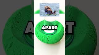 Watch This Video Before You Sleep