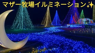 【マザー牧場イルミネーション✨光の花園2023-2024】2024年1月27日（土）