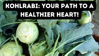 10 HEALTH BENEFITS OF KOHLRABI