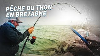 Fiiish - Pêche du thon en Bretagne