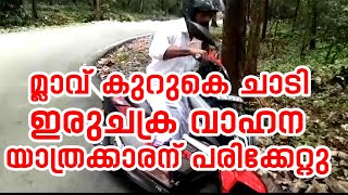 മ്ലാവ് കുറുകെ ചാടി; ഇരുചക്ര വാഹന യാത്രക്കാരന് പരിക്കേറ്റു