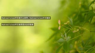 Hydrocellulose中文是什么意思，Hydrocellulose中文翻译