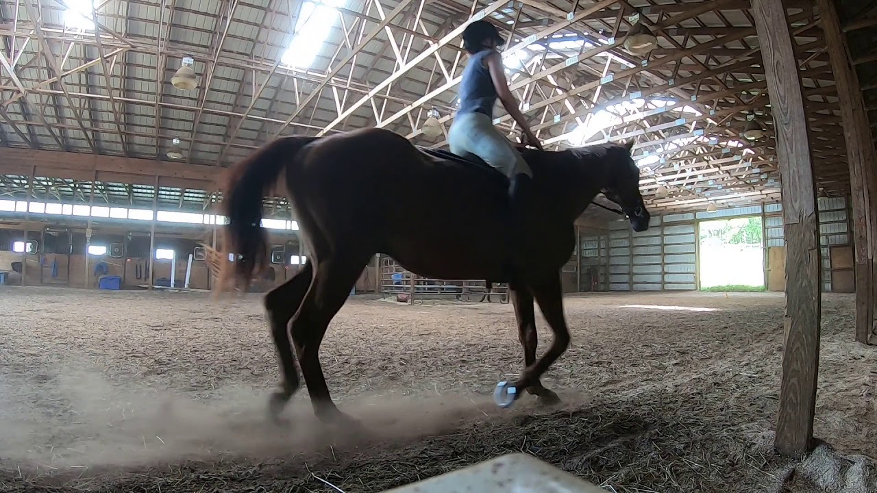 Bareback Riding Youtube