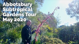 Abbotsbury Gardens Virtual Tour - May 2020